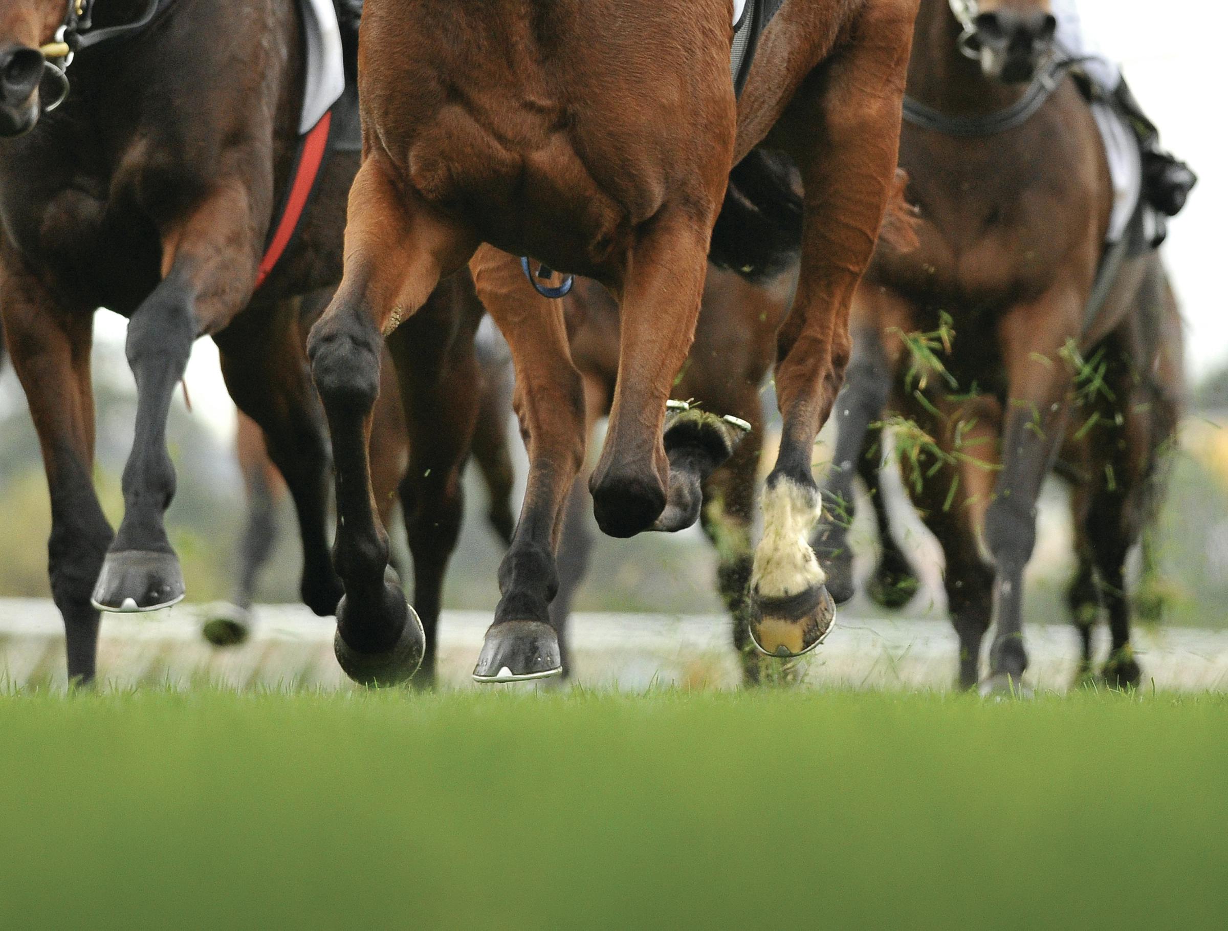 Irish Guineas Festival 2026