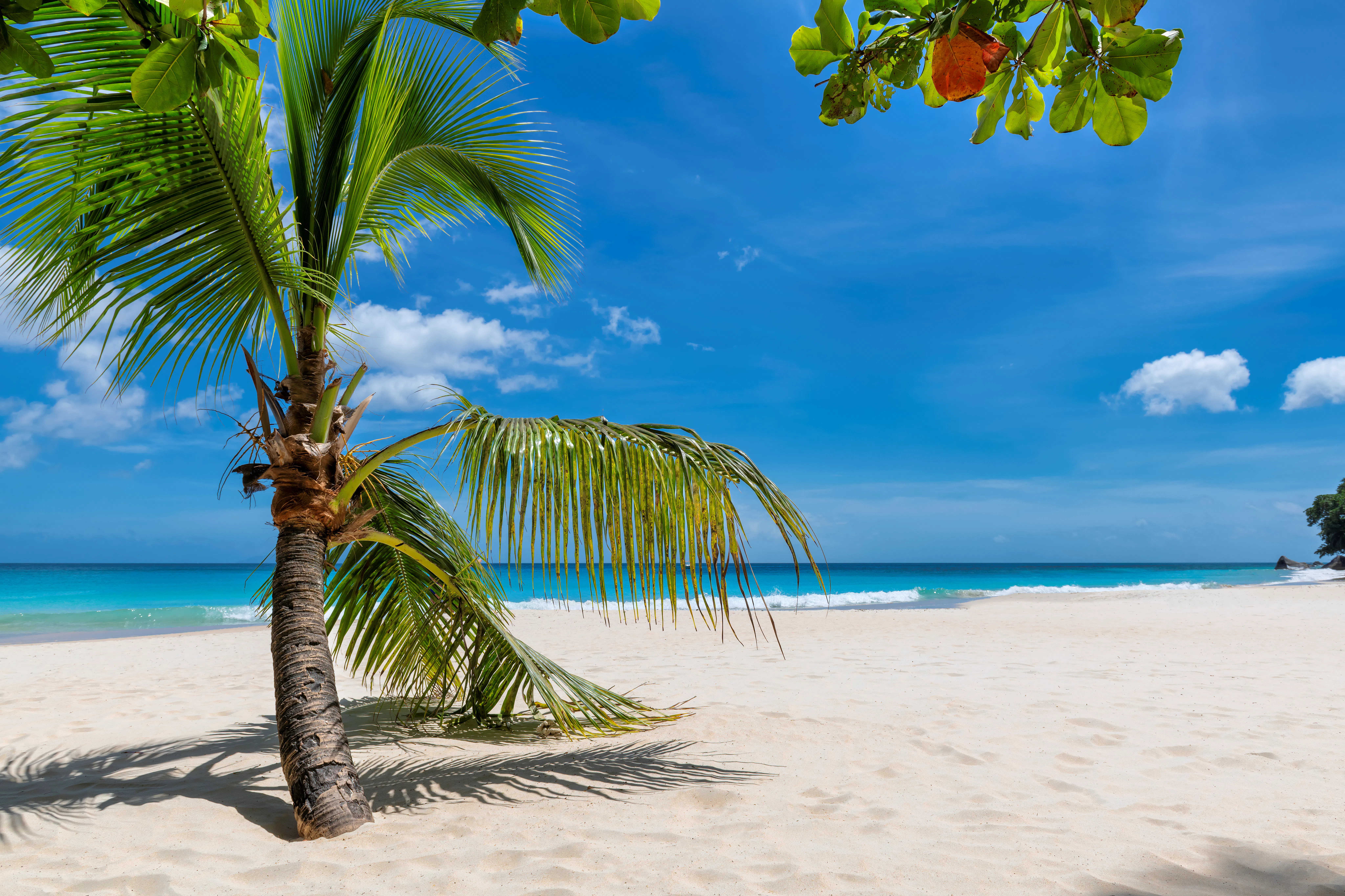 Singapore Grand Prix with the Maldives