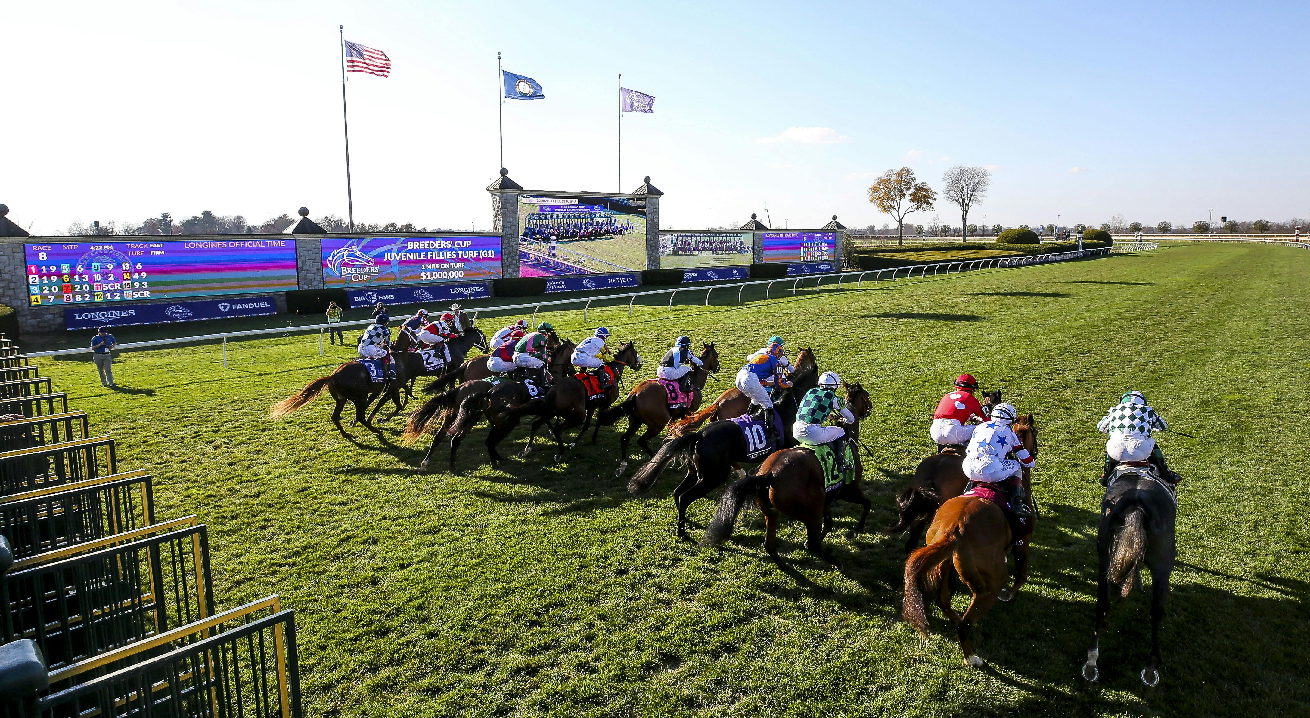 Highlights of Breeders' Cup 2023 & 2024 and What to Expect Next Year