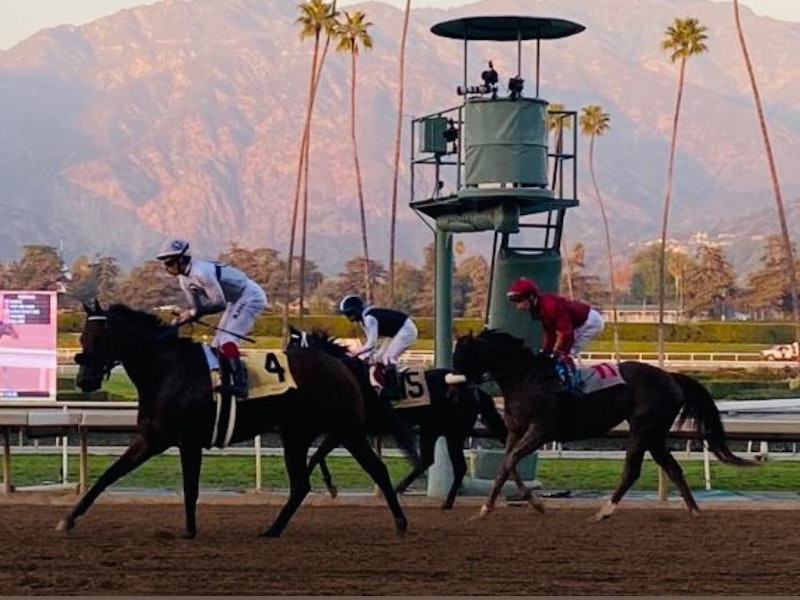 Highlights of the Breeder's Cup 2023 & 2024 Santa Anita USA Spectate Highlights of the Breeder's Cup 2023 & 2024 Santa Anita USA Spectate