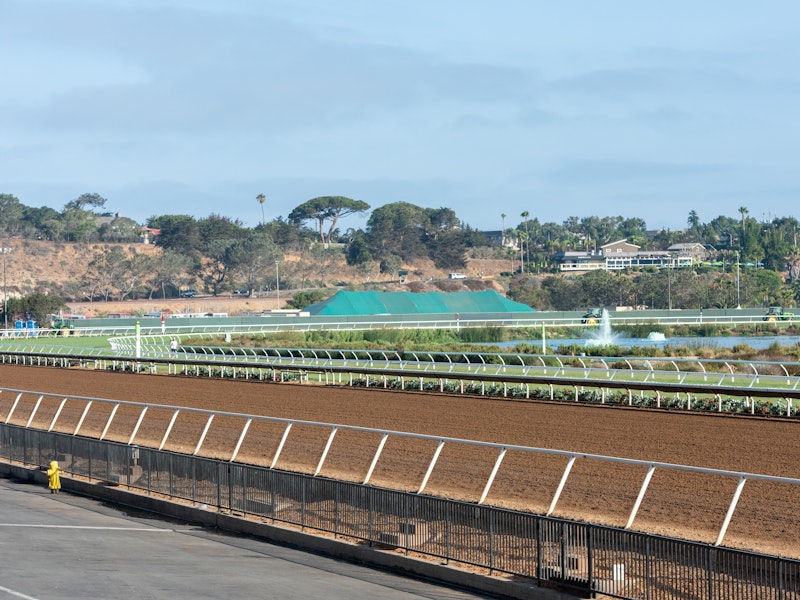 Highlights of the Breeder's Cup 2023 & 2024 Santa Anita USA Spectate Highlights of the Breeder's Cup 2023 & 2024 Santa Anita USA Spectate