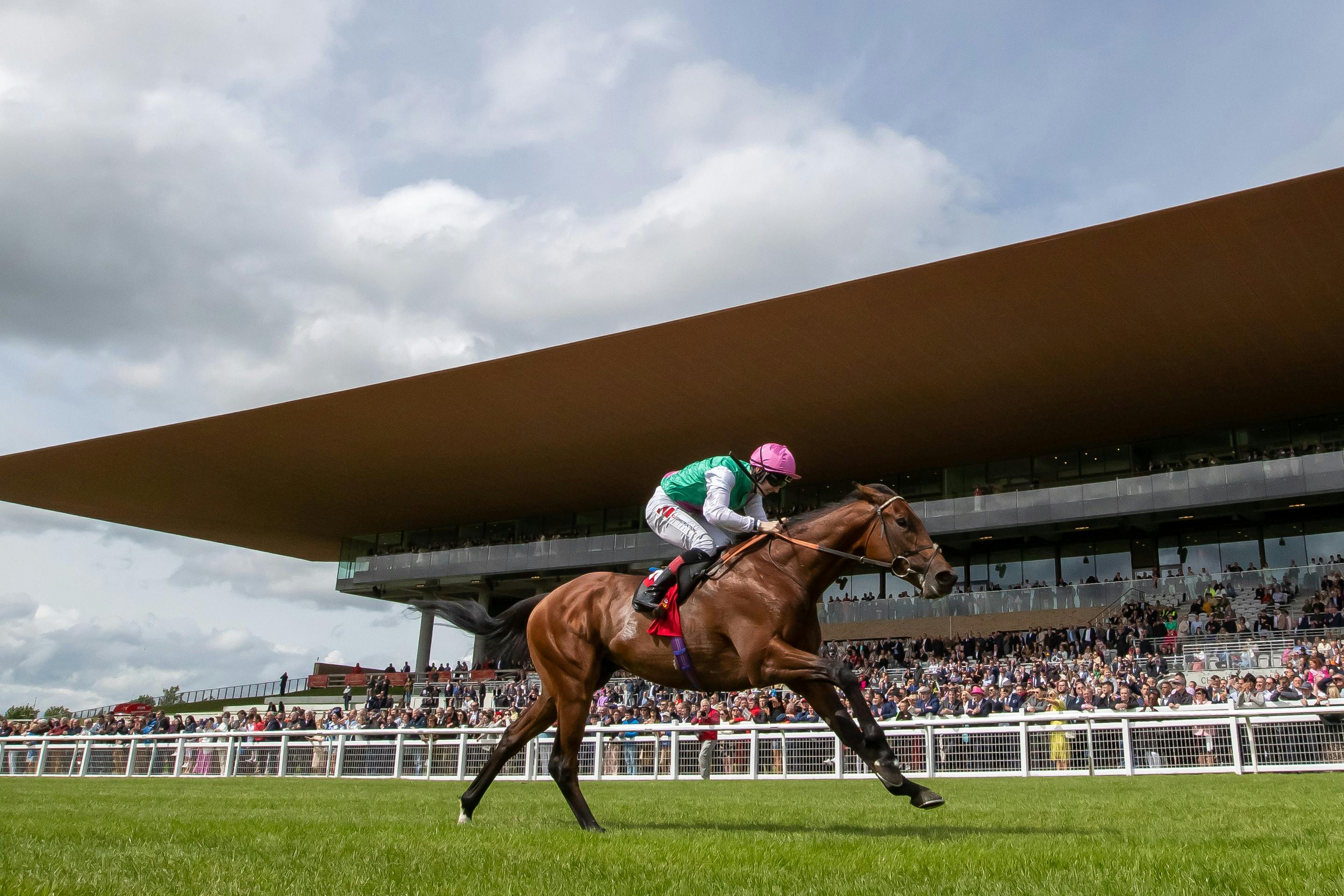 Your guide to a weekend in Ireland during the Irish Guineas Flat Races, 2026