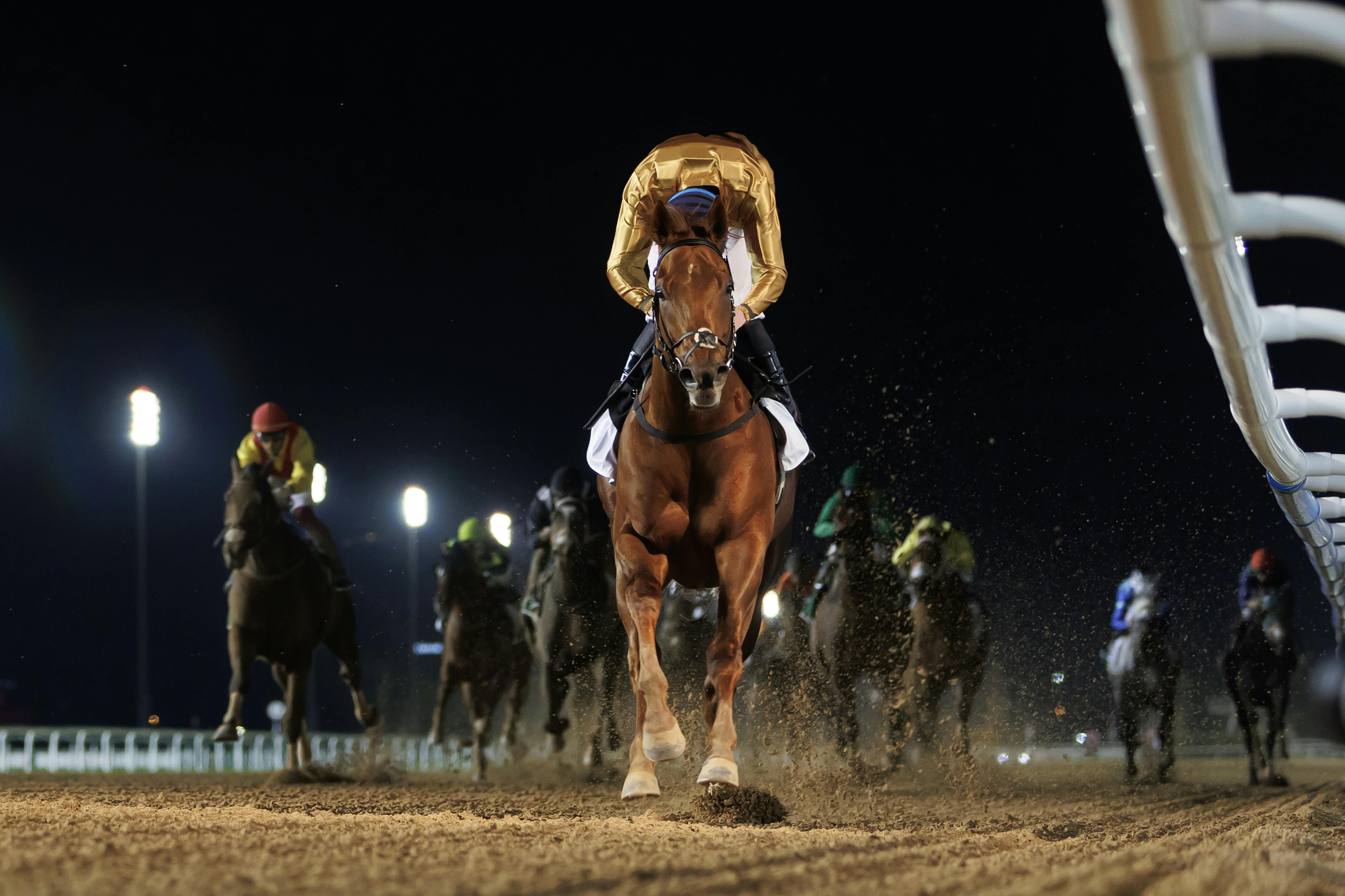 Dubai World Cup