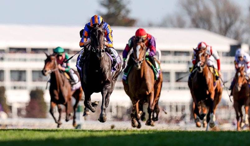 Horses in full gallop at the Breeders' Cup