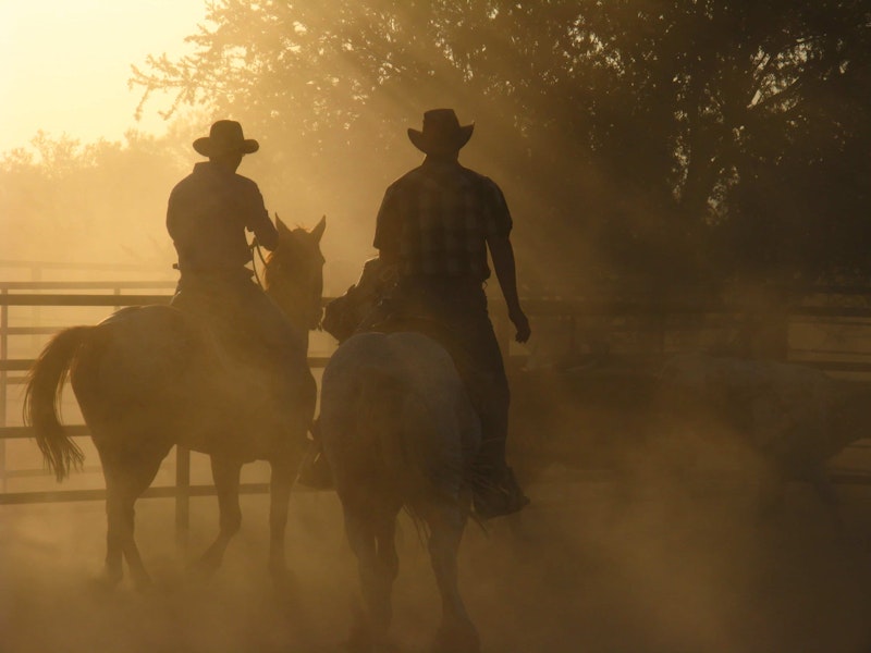 Dust in the air as two horse riders look on