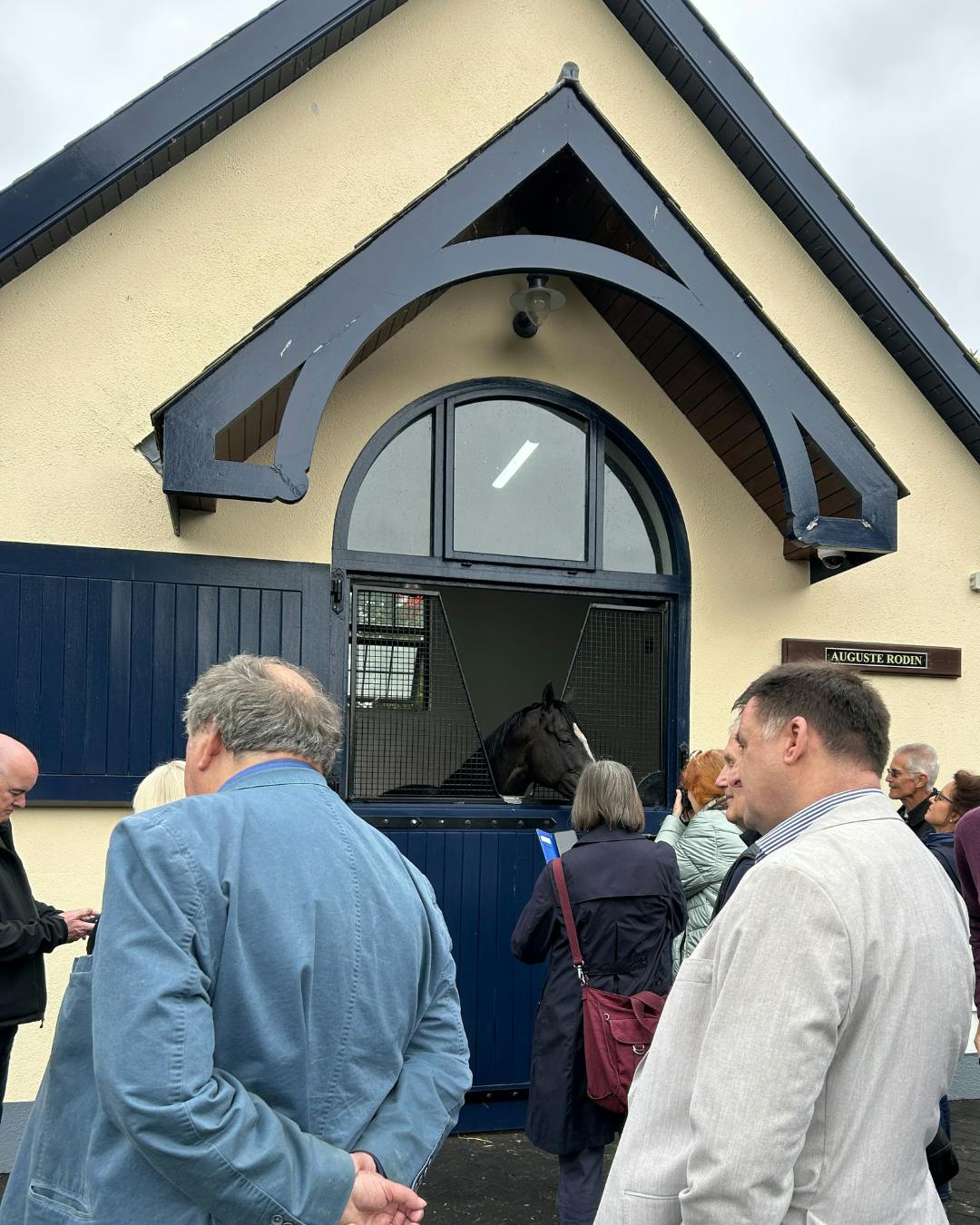 Auguste Rodin pictured at the Coolmore Stud 