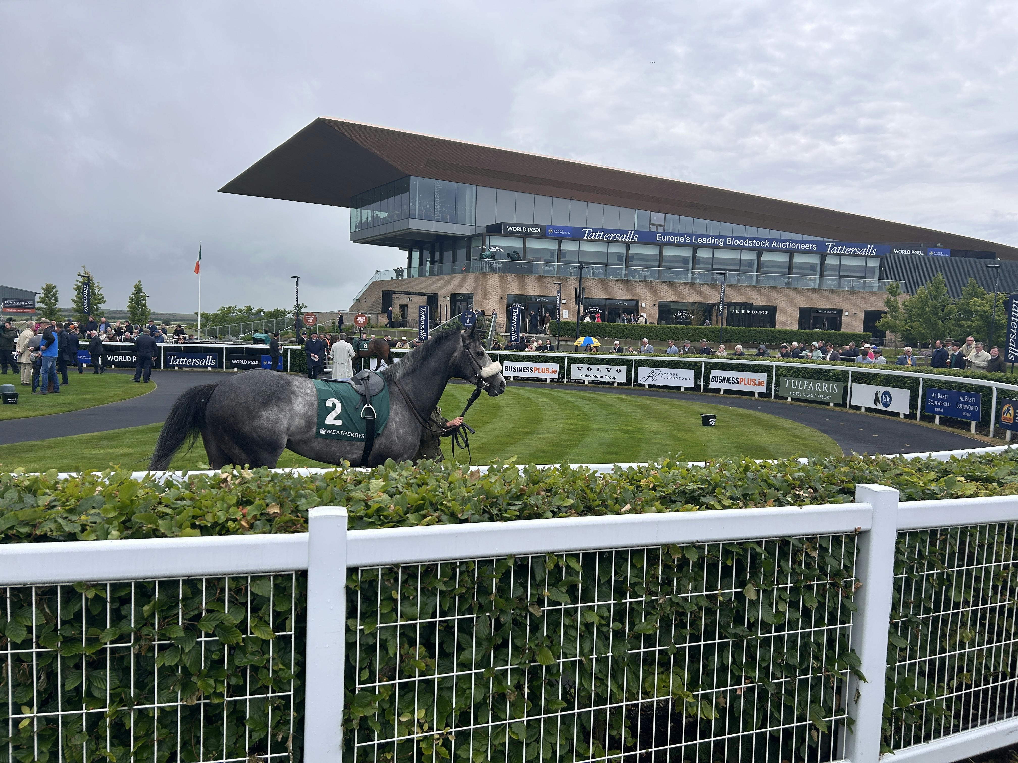 An unforgettable weekend at the Irish Guineas & Coolmore Stud