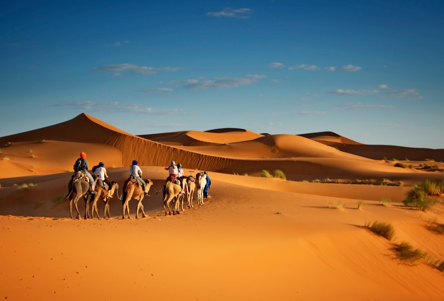 Dubai Desert Dune Camel Ride