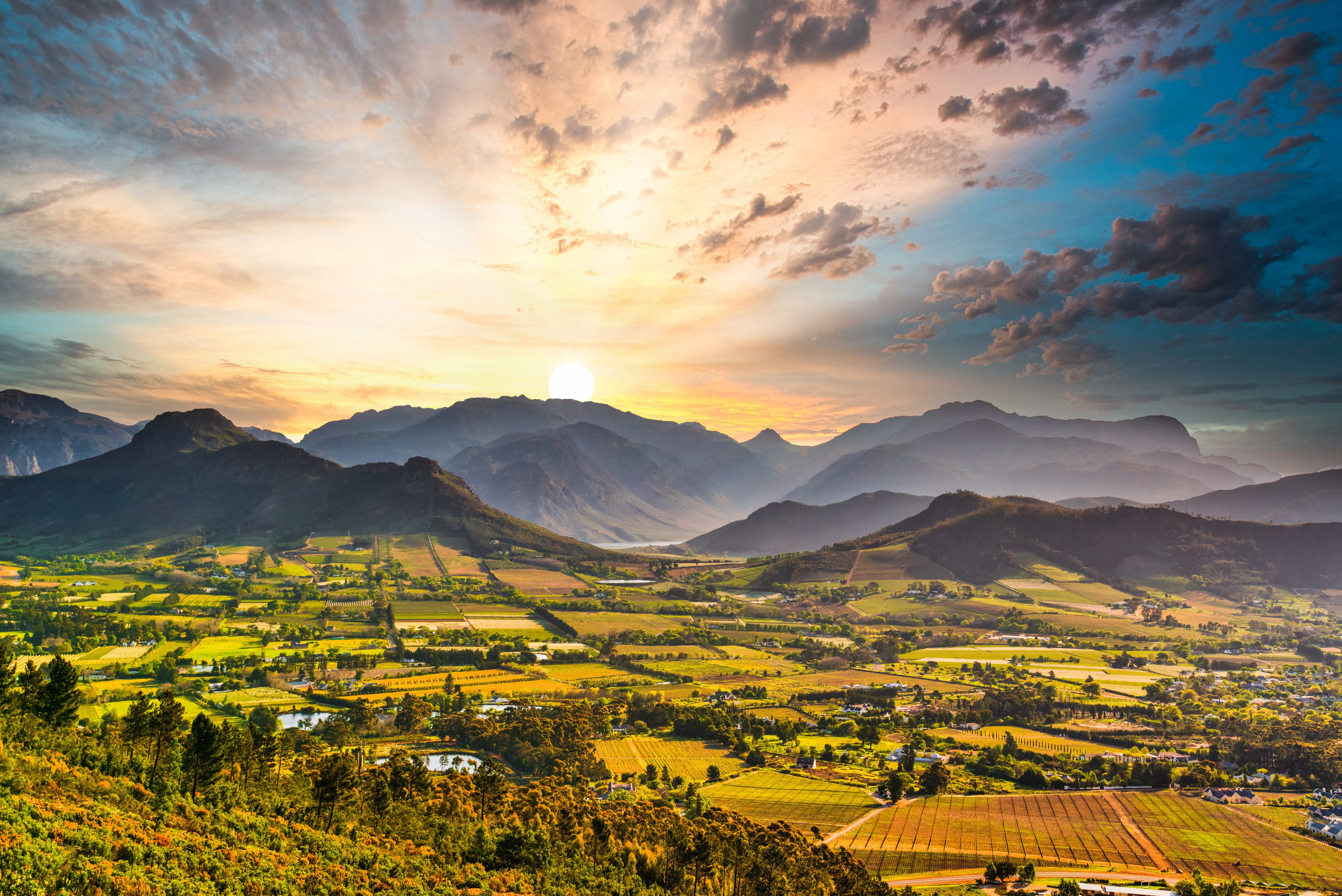 Cape Town Test & Winelands Tour – Hospitality