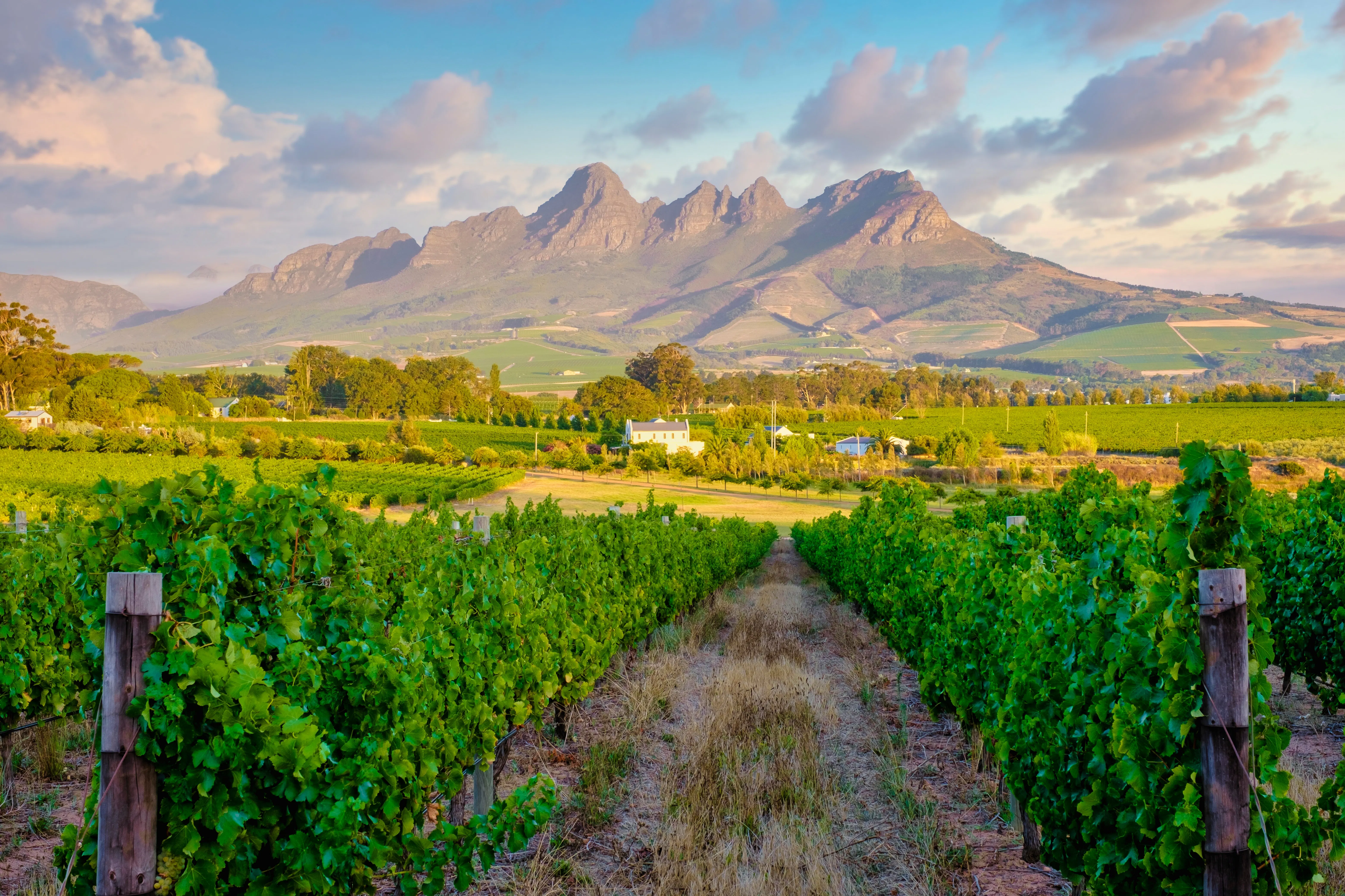Cape Town Test & Winelands Tour – Grandstand
